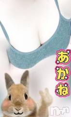 三条デリヘル新潟三条燕ちゃんこ(ニイガタサンジョウツバメチャンコ) あかね(24)の9月16日写メブログ「オッス、オラあかね」