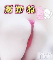 三条デリヘル新潟三条燕ちゃんこ(ニイガタサンジョウツバメチャンコ) あかね(24)の9月25日写メブログ「おしりプリプリ」