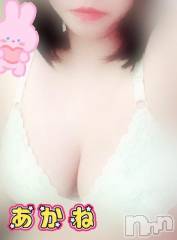 三条デリヘル新潟三条燕ちゃんこ(ニイガタサンジョウツバメチャンコ) あかね(24)の9月27日写メブログ「こんばんワン」