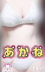 三条デリヘル新潟三条燕ちゃんこ(ニイガタサンジョウツバメチャンコ) あかね(24)の11月3日写メブログ「クチコミありがとうございます！」