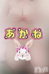 三条デリヘル新潟三条燕ちゃんこ(ニイガタサンジョウツバメチャンコ) あかね(24)の11月4日写メブログ「フローレス 6号室のお兄さんへ」