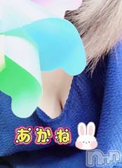 三条デリヘル新潟三条燕ちゃんこ(ニイガタサンジョウツバメチャンコ) あかね(24)の11月6日写メブログ「出勤しました」