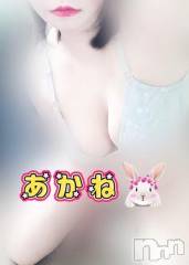 三条デリヘル新潟三条燕ちゃんこ(ニイガタサンジョウツバメチャンコ) あかね(24)の11月24日写メブログ「予約ありがとう？」