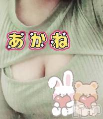 三条デリヘル新潟三条燕ちゃんこ(ニイガタサンジョウツバメチャンコ) あかね(24)の12月8日写メブログ「フローレス 10号室のお兄さん」