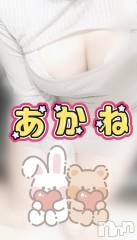 三条デリヘル新潟三条燕ちゃんこ(ニイガタサンジョウツバメチャンコ) あかね(24)の1月7日写メブログ「12日月曜日～？？？」