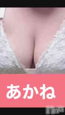 三条ぽっちゃり 新潟三条燕ちゃんこ(ニイガタサンジョウツバメチャンコ) あかねの8月29日動画「おはようございます！」