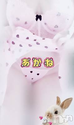 三条デリヘル 新潟三条燕ちゃんこ(ニイガタサンジョウツバメチャンコ) あかね(24)の11月20日写メブログ「特別な……🩷」