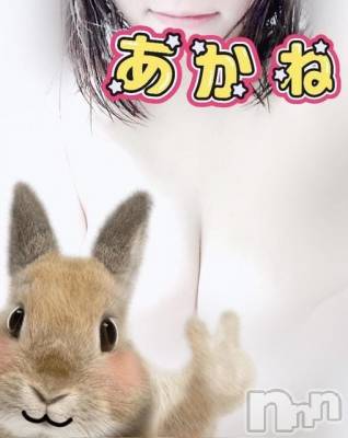 三条デリヘル 新潟三条燕ちゃんこ(ニイガタサンジョウツバメチャンコ) あかね(24)の9月28日写メブログ「フローレス8号室のお兄さん」