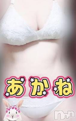 三条デリヘル 新潟三条燕ちゃんこ(ニイガタサンジョウツバメチャンコ) あかね(24)の11月3日写メブログ「クチコミありがとうございます！」