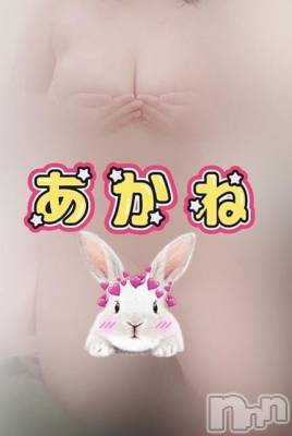 三条デリヘル 新潟三条燕ちゃんこ(ニイガタサンジョウツバメチャンコ) あかね(24)の11月4日写メブログ「フローレス 6号室のお兄さんへ」