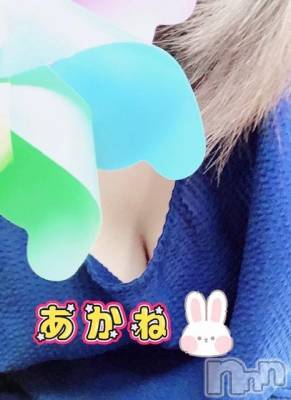 三条デリヘル 新潟三条燕ちゃんこ(ニイガタサンジョウツバメチャンコ) あかね(24)の11月6日写メブログ「出勤しました」