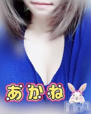 三条デリヘル 新潟三条燕ちゃんこ(ニイガタサンジョウツバメチャンコ) あかね(24)の11月6日写メブログ「フローレス 11号室のお兄さん」