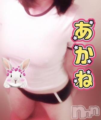 三条デリヘル 新潟三条燕ちゃんこ(ニイガタサンジョウツバメチャンコ) あかね(24)の11月24日写メブログ「次行けます！」