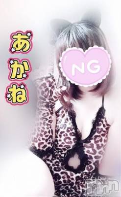 三条デリヘル 新潟三条燕ちゃんこ(ニイガタサンジョウツバメチャンコ) あかね(24)の11月25日写メブログ「飄々とした豹」