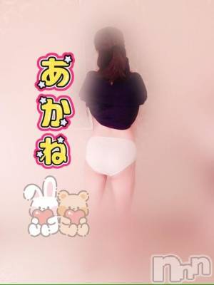 三条デリヘル 新潟三条燕ちゃんこ(ニイガタサンジョウツバメチャンコ) あかね(24)の11月26日写メブログ「ホテル K-1 207号室のお兄さん」