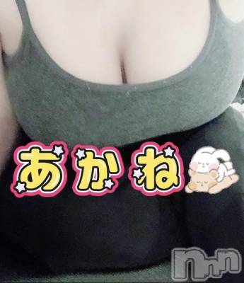 三条デリヘル 新潟三条燕ちゃんこ(ニイガタサンジョウツバメチャンコ) あかね(24)の2月20日写メブログ「こんにちは！」