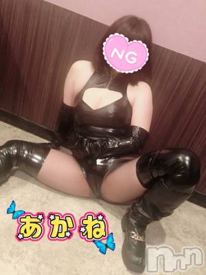 三条デリヘル 新潟三条燕ちゃんこ(ニイガタサンジョウツバメチャンコ) あかね(24)の3月29日写メブログ「出勤」