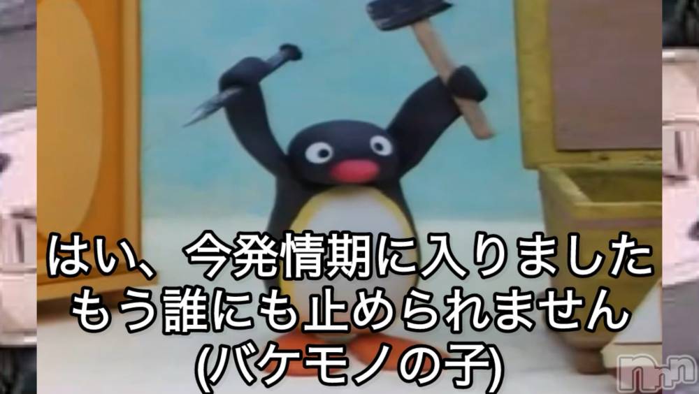 新潟デリヘルCrest(クレスト) 新人☆しいか(19)の11月6日写メブログ「生きてます‼️」