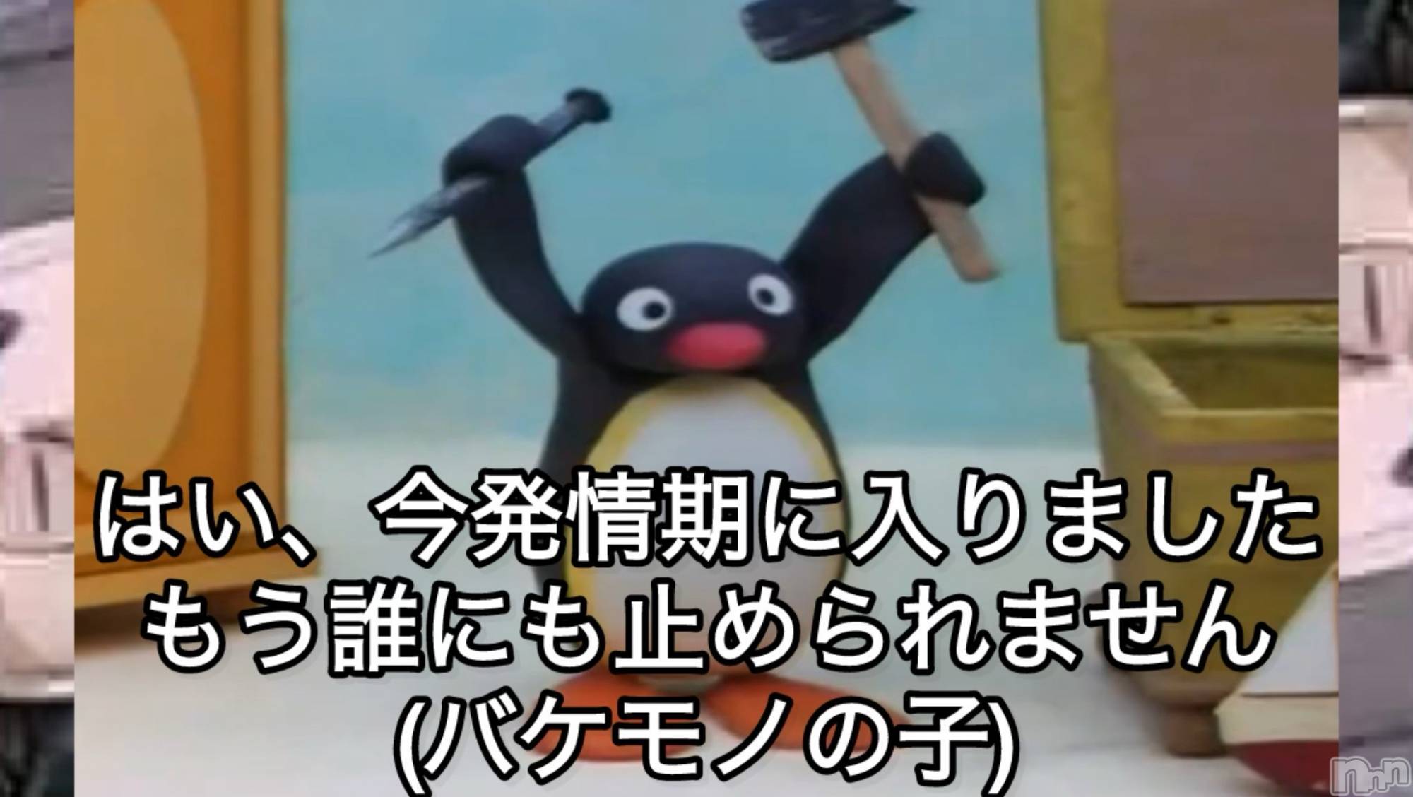 新潟デリヘルCrest(クレスト)新人☆しいか(19)の2025年11月6日写メブログ「生きてます‼️」