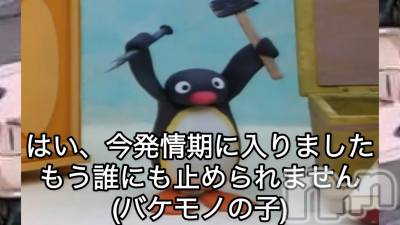 新潟デリヘル Crest(クレスト) 新人☆しいか(19)の11月6日写メブログ「生きてます‼️」