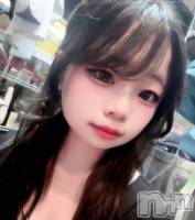 ƲХ顦֥ ץ Ĺ( ץ ʥ) Τ1010̥֥1010 2257ʬΥ֥