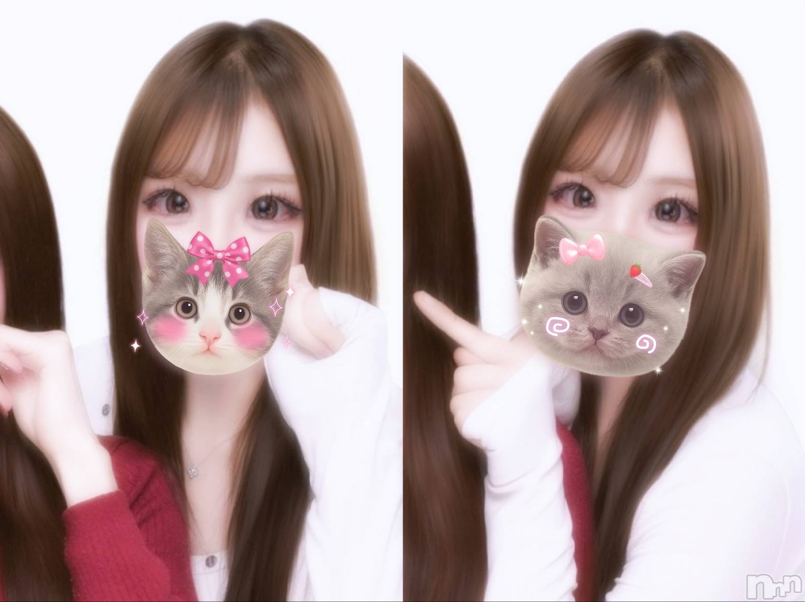 ʥå륺С륺С ӥ٥˥塼(륺Сӥ٥˥塼) 2025ǯ1212̥֥ߤ