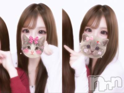 ʥå륺С륺С ӥ٥˥塼(륺Сӥ٥˥塼) Τ(19)1212̥֥ߤ