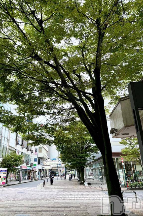 長岡デリヘル人妻楼　長岡店(ヒトヅマロウ　ナガオカテン) えみ(42)の8月27日写メブログ「不安定でしたね(￣▽￣;)」