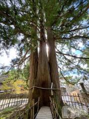 長岡デリヘル人妻楼　長岡店(ヒトヅマロウ　ナガオカテン) えみ(42)の9月27日写メブログ「どこでしょうか🌳✨️？？」