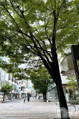 長岡人妻デリヘル 人妻楼　長岡店(ヒトヅマロウ　ナガオカテン) えみ(42)の8月27日写メブログ「不安定でしたね(￣▽￣;)」
