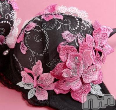 かわいい～ ✿.*･🌸