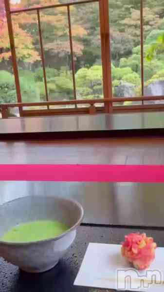えみの動画 雨と紅葉🍁🍂