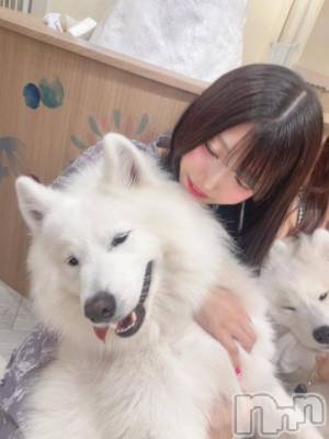 長岡デリヘル ROOKIE(ルーキー) まお(22)の8月13日写メブログ「サモエドショット♡」