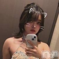 Τ(22) Ĺ150cmܱХ顦 K-LOUNGE(饦)ҡ