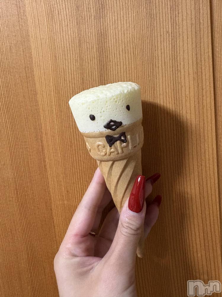 ĮХ顦֥ ץ ( ץ ) 顡ߤ103̥֥֤ʤˤɽ😍