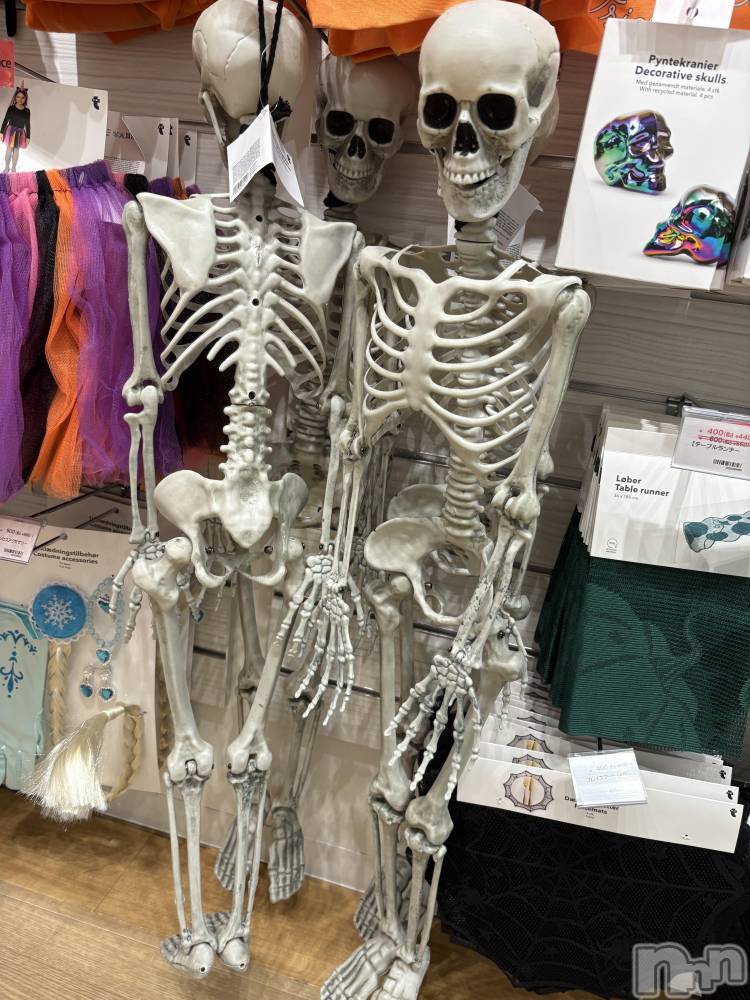 ĮХ顦֥ ץ ( ץ ) 顡ߤ106̥֥֤襤☠️