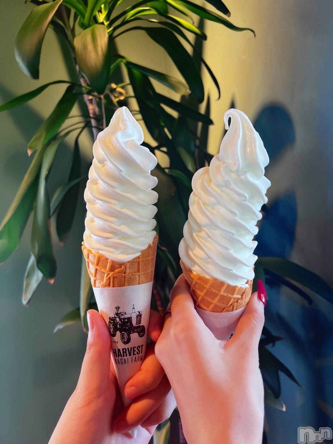 ĮХ顦֥ ץ ( ץ ) 2025ǯ822̥֥ǻեȤǤҤȵ٤🍦