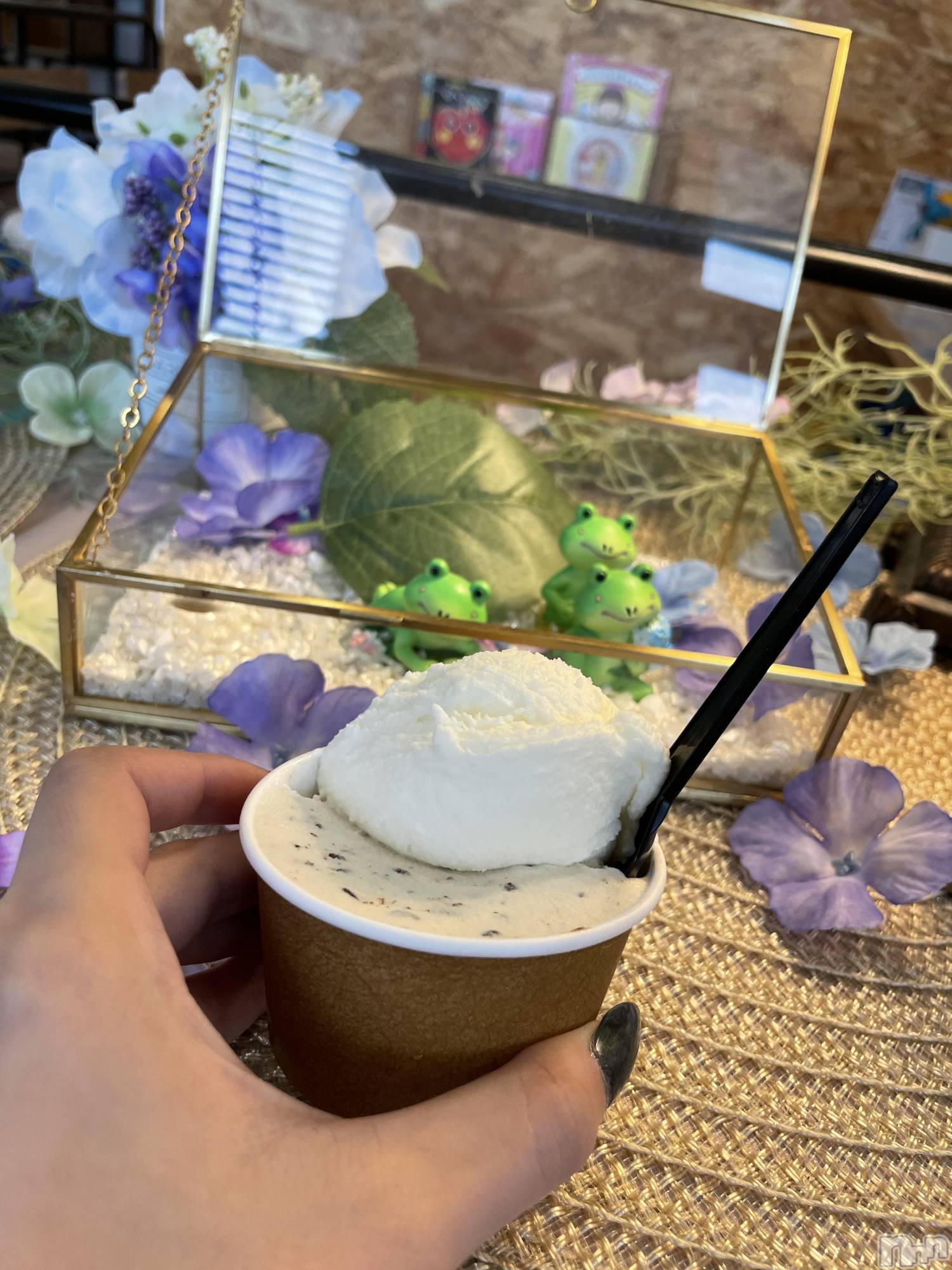 ĮХ顦֥ ץ ( ץ ) 2025ǯ825̥֥ʬ🍦