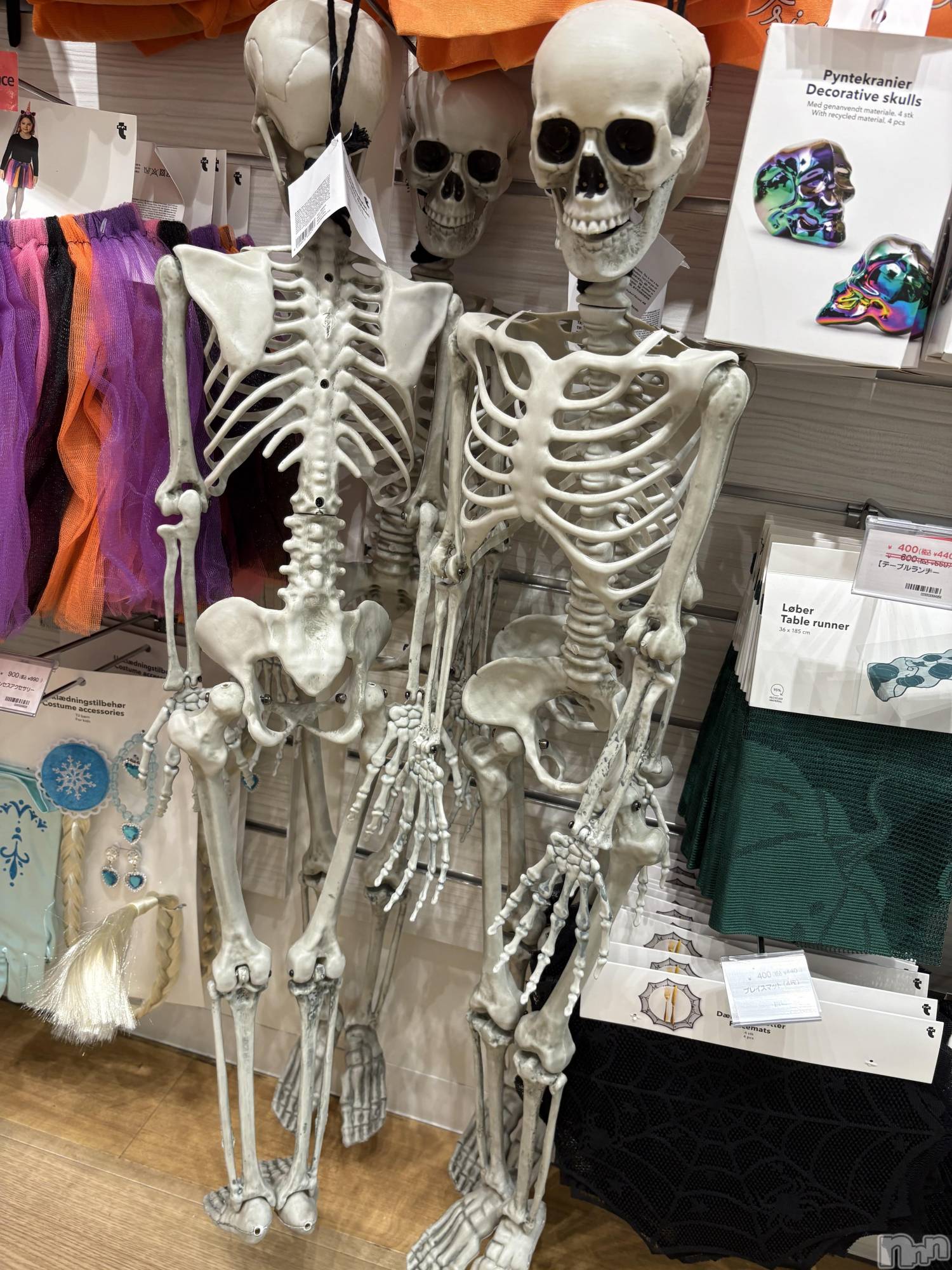 ĮХ顦֥ ץ ( ץ ) 2025ǯ106̥֥֤襤☠️