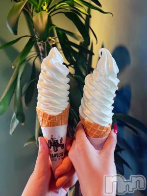 ĮХ顦֥ ץ ( ץ ) 顡ߤ822̥֥ǻեȤǤҤȵ٤🍦