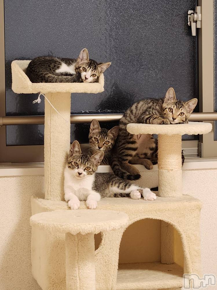 ���ᥭ��Х��顦�����Club Focus(����֡��ե�������) �����9��8���̥�֥����֤���ä���(*����`��)~♬��