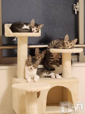 ���ᥭ��Х��顦�����Club Focus(����֡��ե�������) �����9��8���̥�֥����֤���ä���(*����`��)~♬��