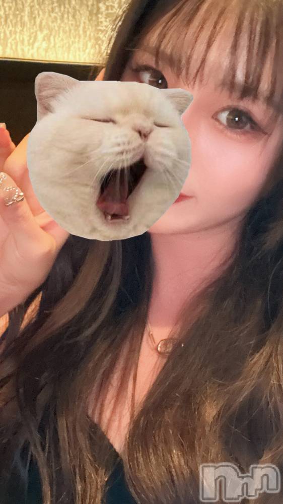 ���ᥭ��Х��顦�����Club Focus(����֡��ե�������) �ʤۤ�10��22���̥�֥����ֵס��жФ������✨��