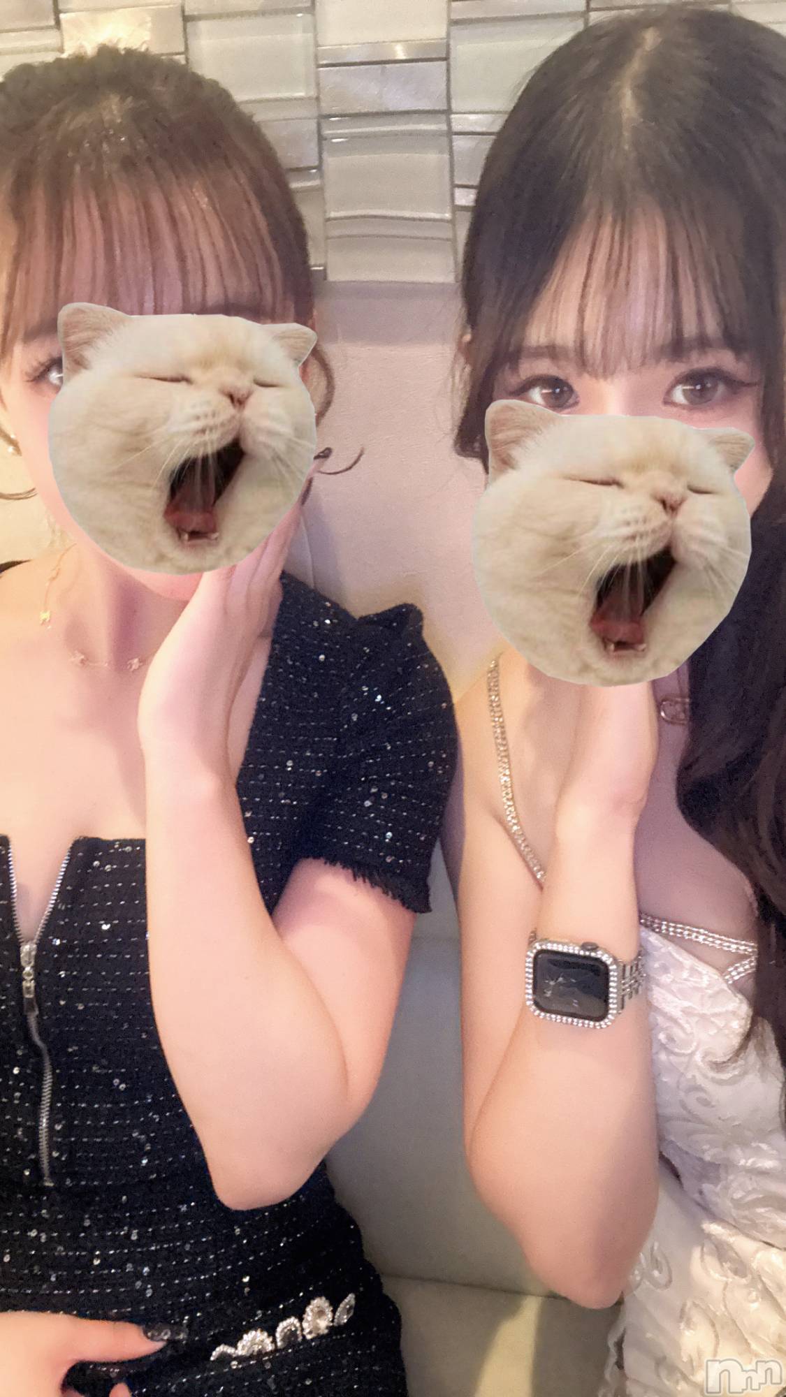 ���ᥭ��Х��顦�����Club Focus(����֡��ե�������) ��2025ǯ9��6���̥�֥�����������������