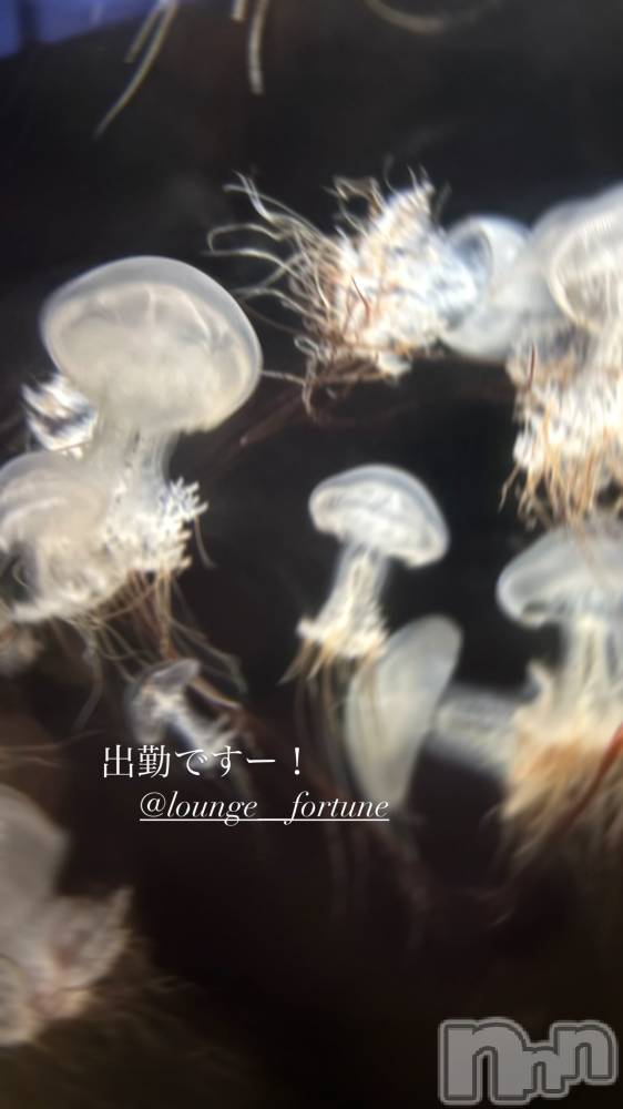 ��Ʋ����Х��顦�����FORTUNE LOUNGE(�ե��������饦��) ��ʤ�5��8���̥�֥����֤����