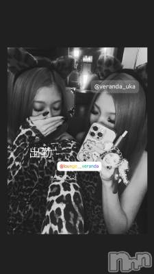 ƲХ顦Lounge Veranda(饦󥸥٥) ʤ1031̥֥֤