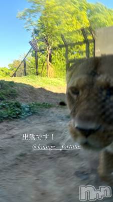 ��Ʋ����Х��顦�����FORTUNE LOUNGE(�ե��������饦��) ��ʤ�5��22���̥�֥����֤����