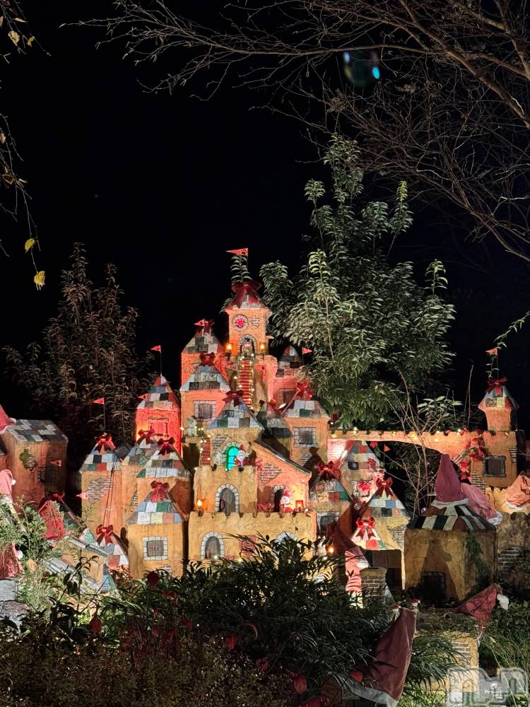 ��ˬ����Х��顦����֥���� �ץ���� ��ˬ(����� �ץ���� ����) �� �Ϥ뤫��11��29���̥�֥�����11��29�� 13��21ʬ�Υ֥�����