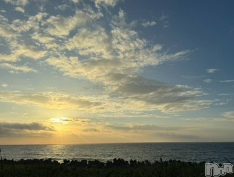 ��ˬ����Х��顦����֥���� �ץ���� ��ˬ(����� �ץ���� ����) �� �Ϥ뤫��12��12���̥�֥�����☀️��