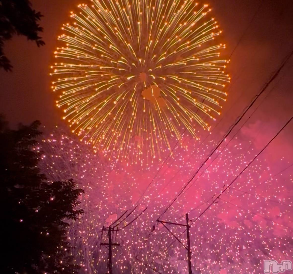 ��ˬ����Х��顦����֥���� �ץ���� ��ˬ(����� �ץ���� ����) ��2025ǯ8��16���̥�֥����ֲֲ���񡪡�🎆��